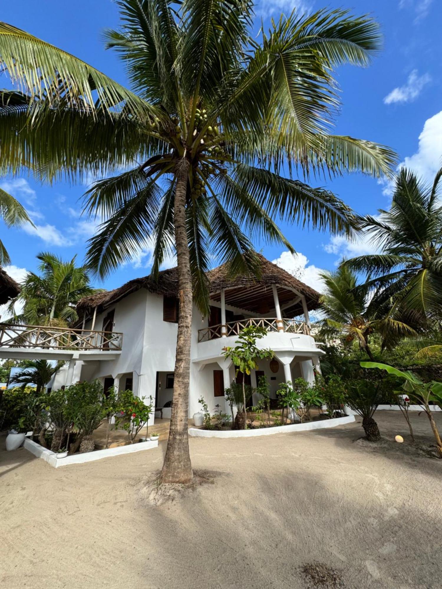 Mango Beach House Jambiani  Kültér fotó