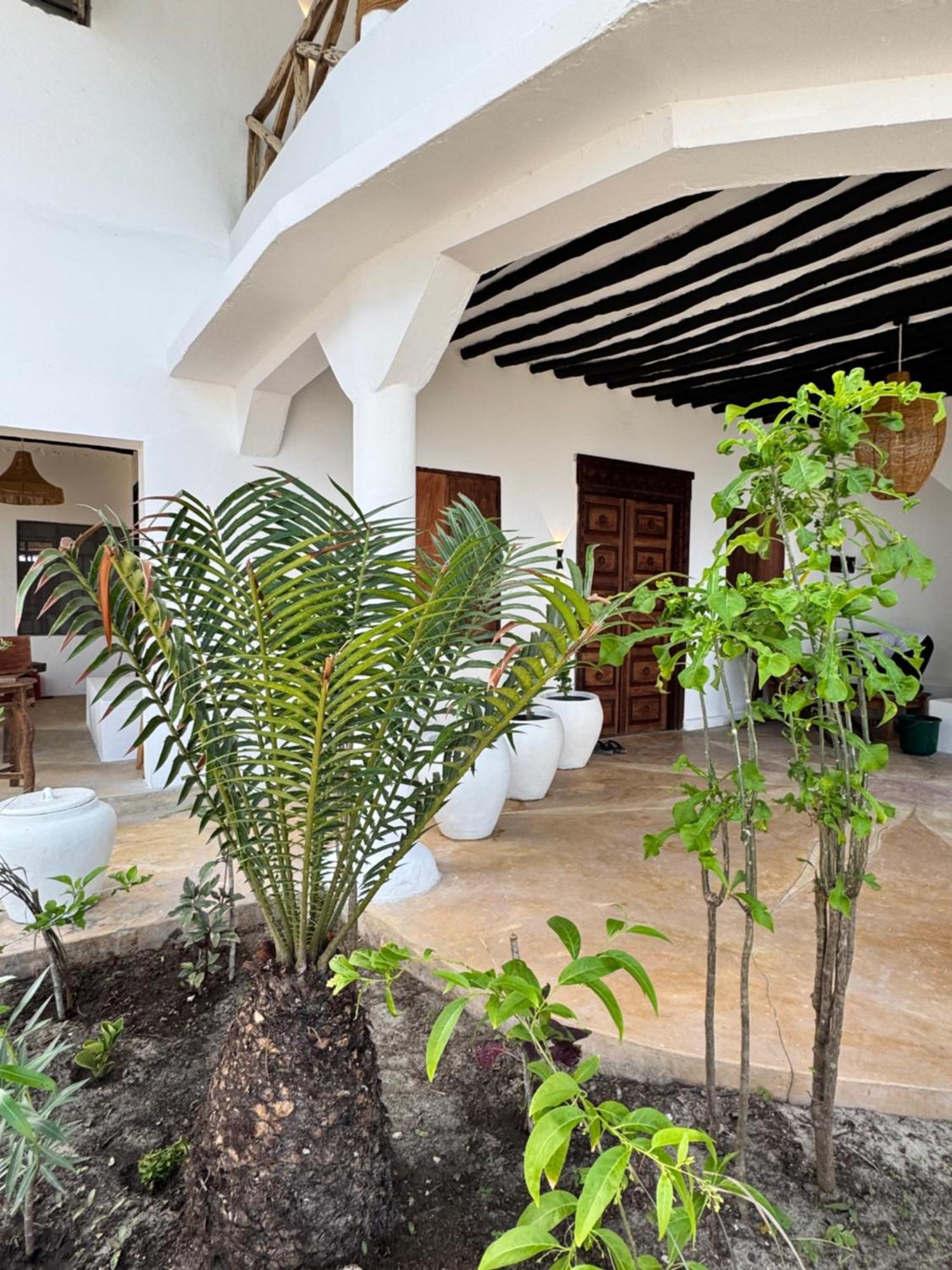 Mango Beach House Jambiani  Kültér fotó